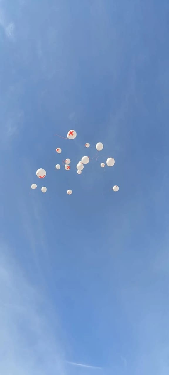 WhatsApp 2024-05-21 в 17.14.38_bb4cc0ab